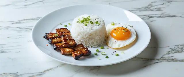 Bak Kwa Rice (Rou Gan Fan)