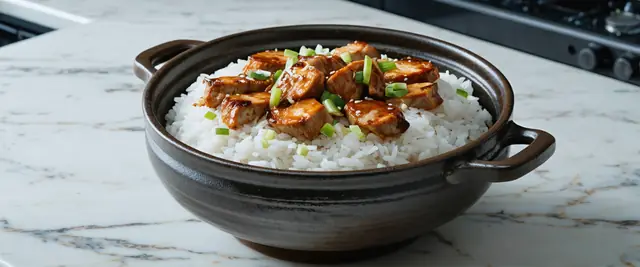 Claypot Rice (Bo Zai Fan)